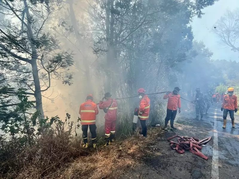 3 Titik Karhutla yang Masih Membara di Jawa Timur, Salah Satunya Bromo