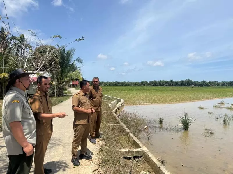 8.074 Ha Sawah di Aceh Timur Dipulihkan, Anggaran Capai Rp52,7 M