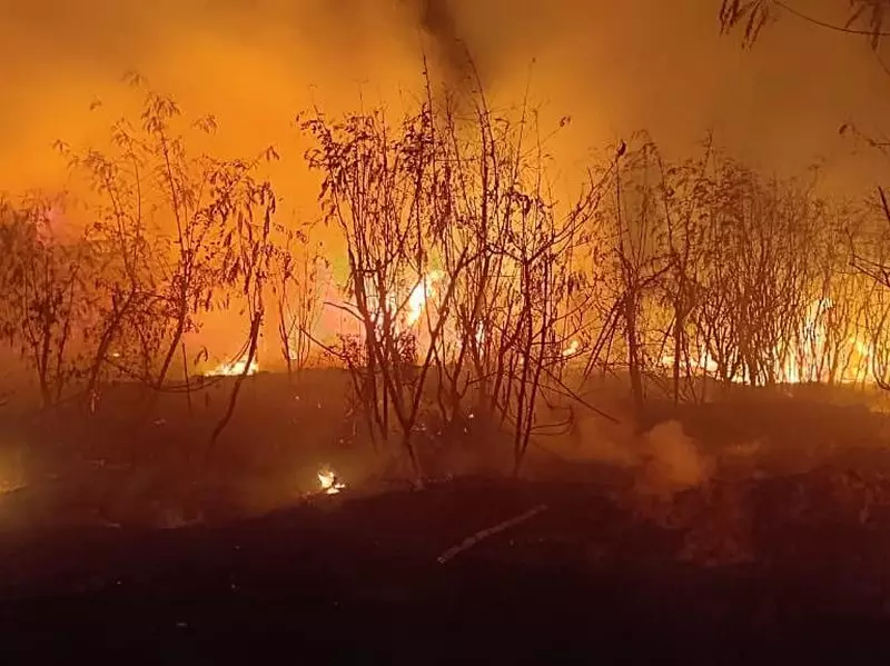 Alang-alang di Kedoya Jakbar Kebakaran, Api Sempat Menyala Besar