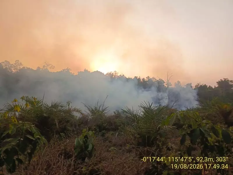 BNPB: Karhutla Seluas 96,07 Hektare Belum Padam