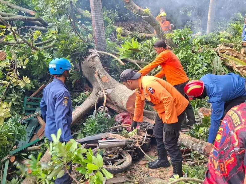 Detik-detik Pohon 40 Meter Tumbang Timpa 4 Warga di Baranangsiang Bogor