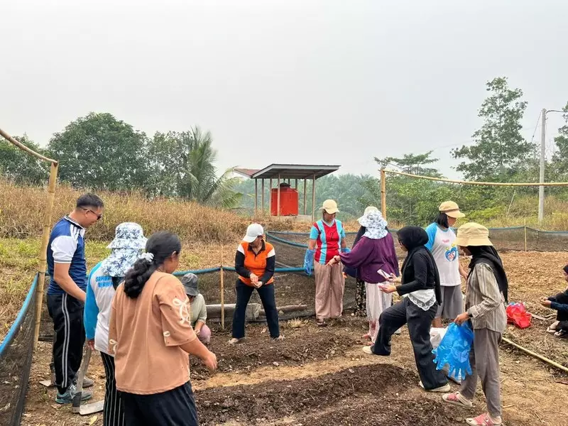 Didukung TEP UI, Warga Sambas Kelola Lahan Tandus Jadi Kebun Sayur