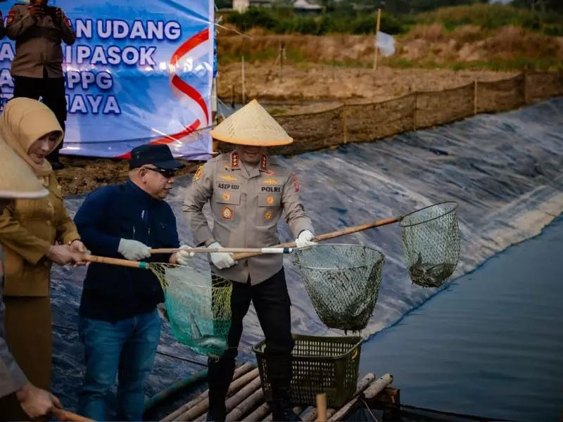 Dukung Ketahanan Pangan, Polda Metro Panen 10 Ton Ikan-Udang di Muara Gembong