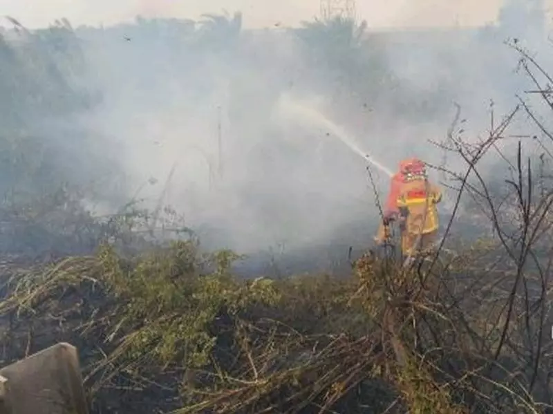 El Nino Masih sampai November, Potensi Karhutla Mesti Diwaspadai