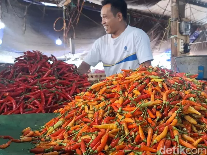Harga Cabai Rawit Tambah Mahal, Hampir Rp 100 Ribu/Kg!