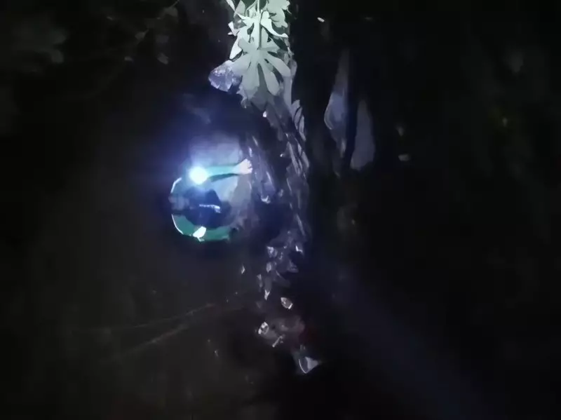 Hendak Buang Air Kecil, Pria di Bogor Malah Terperosok dari Tebing 10 Meter