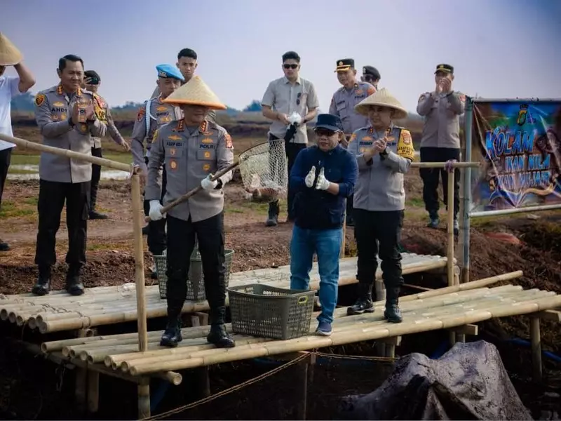 Jadi Rantai Pasok SPPG, Tambak Ikan di Muara Gembong Serap Lapangan Kerja