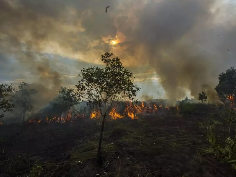 Karhutla Masih Tersisa 209,78 Hektare, Penerbangan Terganggu