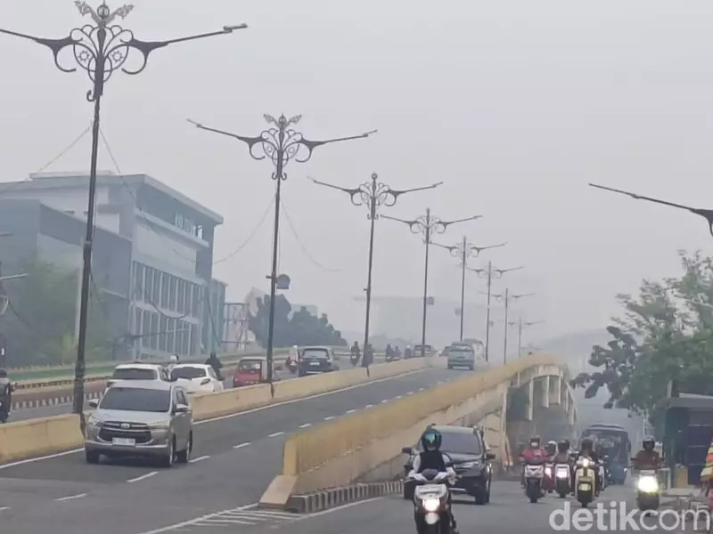 Kasus ISPA di Riau Tembus 11 Ribu Imbas Karhutla Meluas