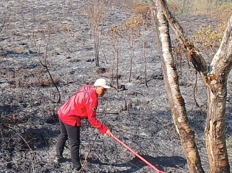 Kebakaran di Gunung Rinjani Meluas hingga 977 Hektare, Petugas Alami Kendala
