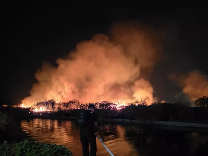 Kebakaran Lahan Dekat Mal 23 Semarang Dipicu 4 Pemancing Mabuk Bakar Rumput