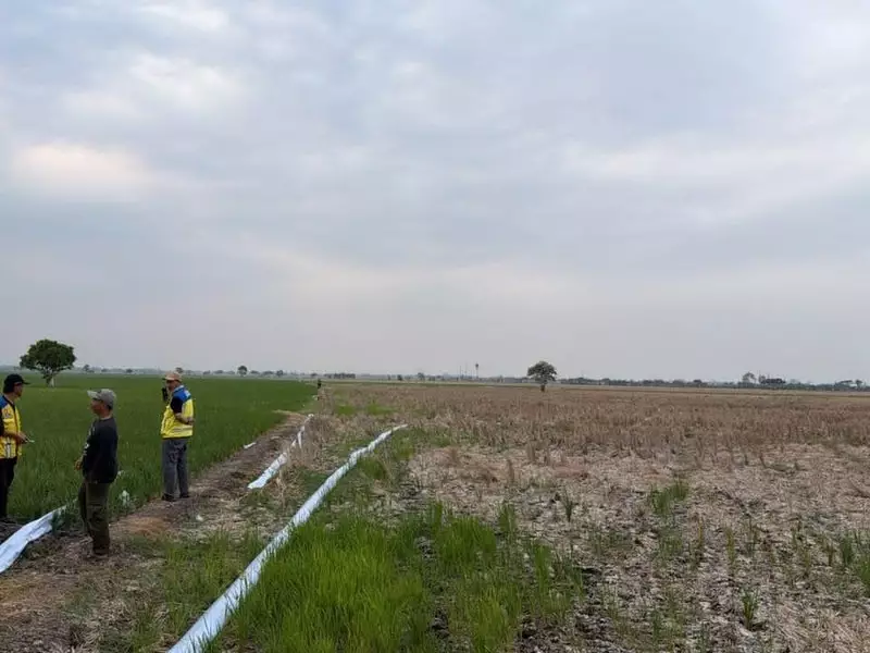 Kementerian PU Operasikan 3 Pompa Atasi Kekeringan Sawah di Bekasi