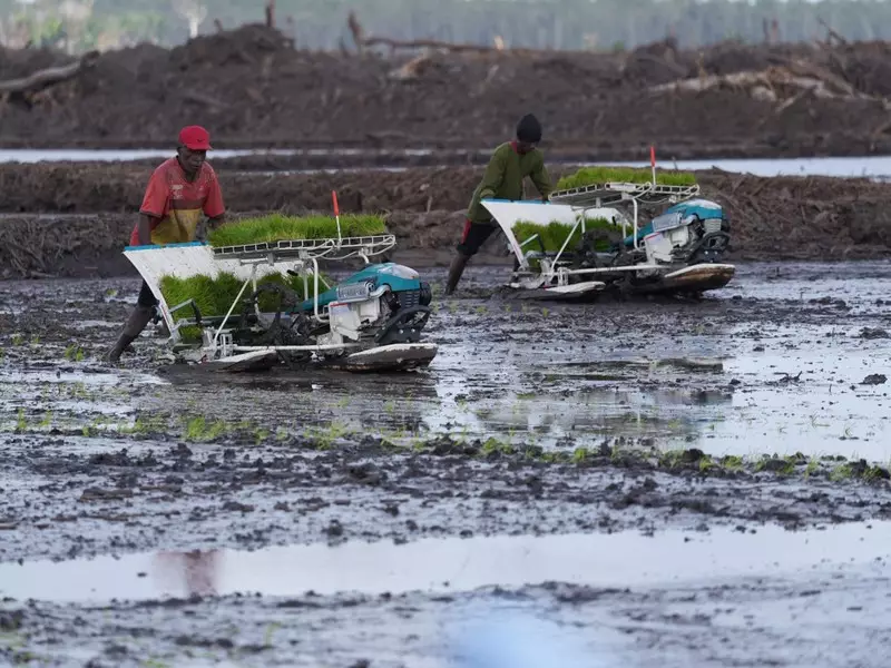 Kementerian PU Siapkan 160 Ribu Meter Kubik Air di Wanam Merauke