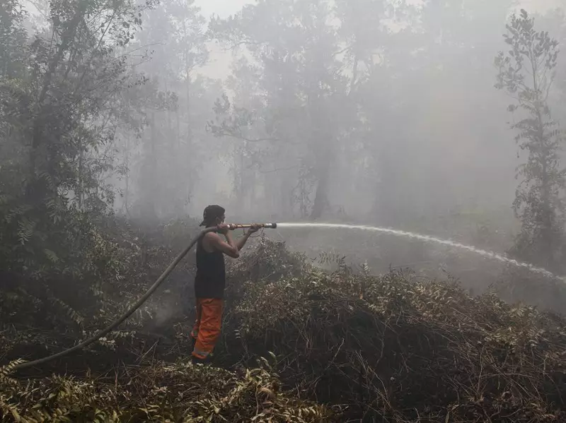 Masa Tanggap Darurat Karhutla di Kapuas Diperpanjang hingga 29 September