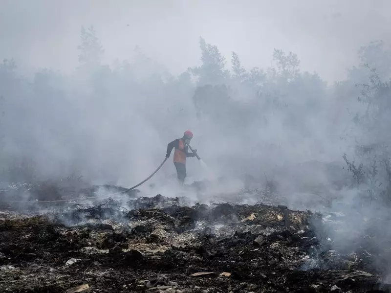 Menhut Cabut Izin 5 Perusahaan Terkait Karhutla di Kalimantan