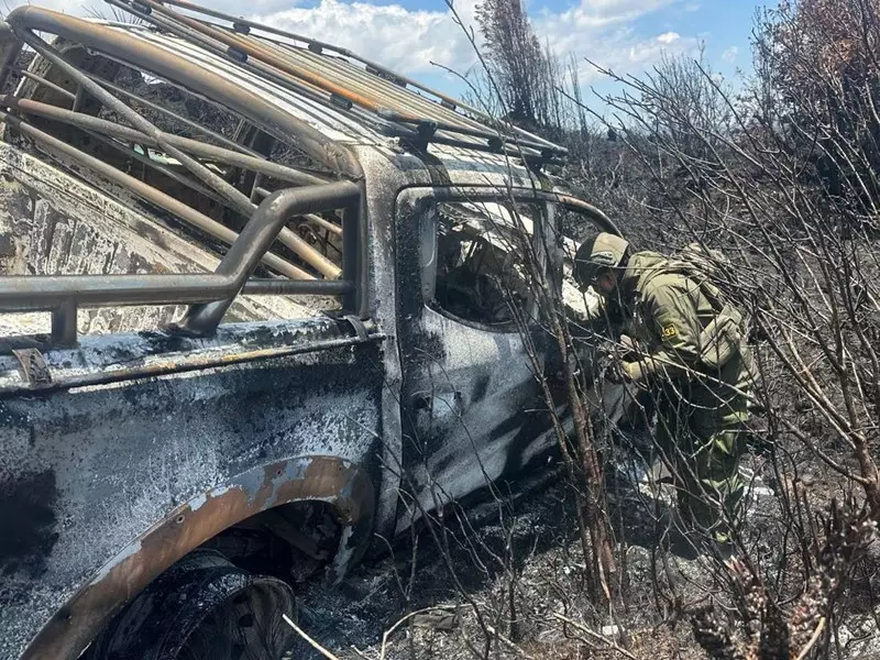 Nestapa Sopir Travel Dibunuh OPM Usai Dipaksa Dukung Papua Merdeka
