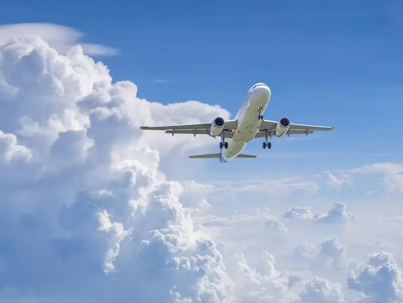 Ngeri! Langit-langit Kabin Pesawat Ambrol Saat Mengudara