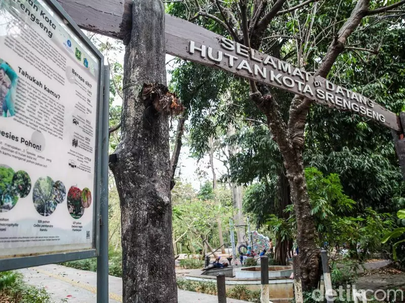 Panas Jakarta Menyengat, Hutan Kota Jadi Pilihan Warga