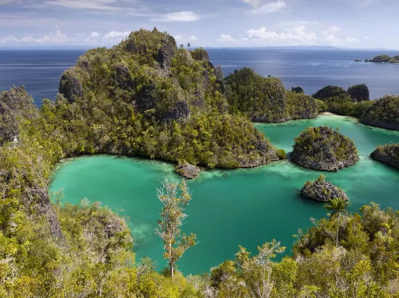 Penyu, Penjelajah Lajutan Bagian dari Kehidupan Sehari-hari di Raja Ampat