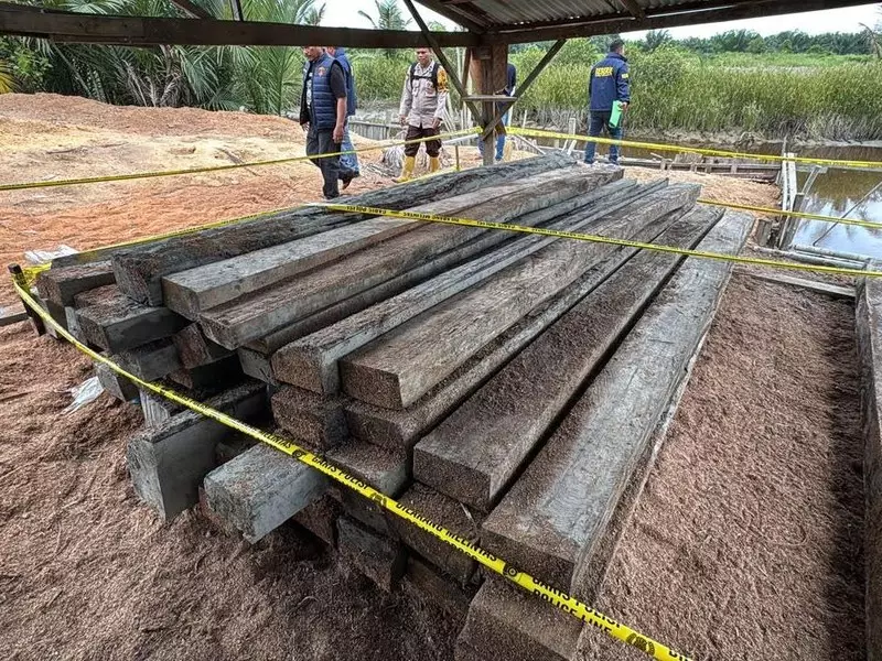 Polres Rohil Sita 20 Ton Kayu Illegal Logging, Sebagian Sudah Jadi Pintu