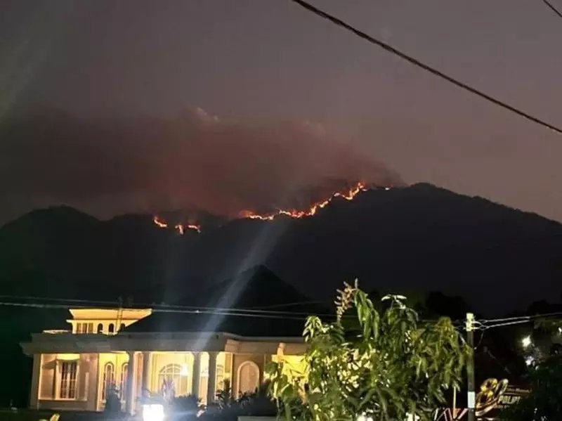 Puncak Gunung Wilis Jatim Kebakaran