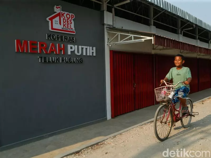 Sebanyak Ini Manajer Kopdes yang Penempatannya Jauh dari Domisili