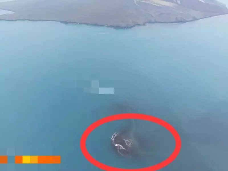 Seluas Ini Daratan Baru Muncul di Dekat Gunung Anak Krakatau