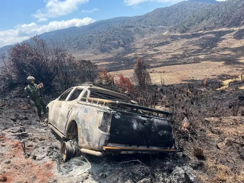 Sopir Travel Ditembak Mati KKB di Wamena, Pelaku Diburu