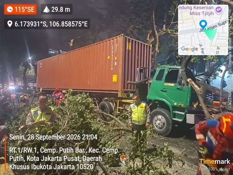 Truk Tabrak Pohon di Cempaka Putih Jakpus hingga Tumbang, Lalin Macet