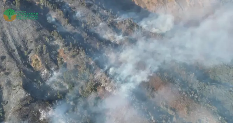 589 Hektare Gunung Rinjani Terbakar, Pendakian Jalur Torean Ditutup Sementara
