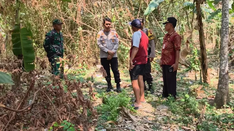 Bayi Laki-laki Dikerubungi Semut di Kebun di Semarang: Dada Memar, Bibir Luka