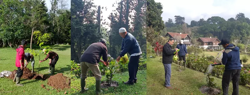 Bukan Sekadar Mengganti Tumbuhan, Kebun Raya Cibodas Pulihkan Koleksi