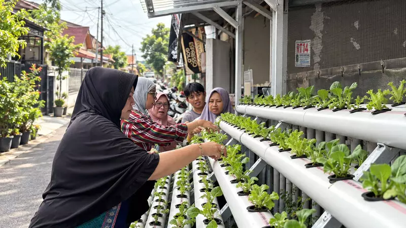 Dari Lorong Kota, PNM Dorong Warga Bangun Ketahanan Pangan Mandiri