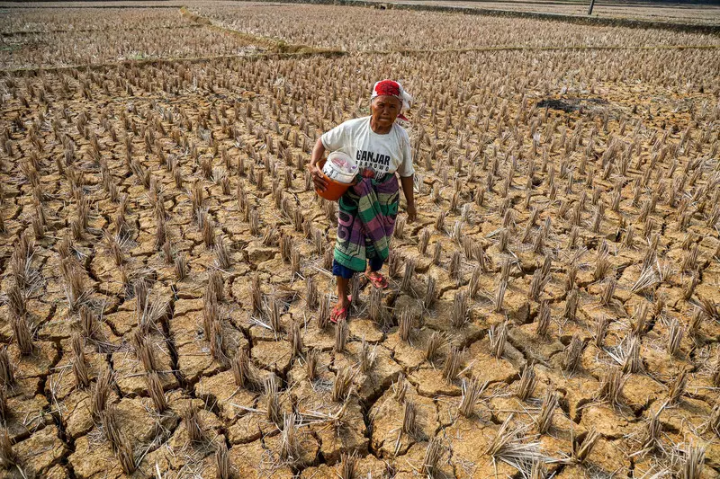 Foto: 688 Desa di Jawa Barat Terdampak Kekeringan