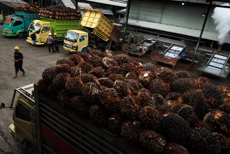 Harga CPO Anjlok 2,10% ke MYR 4.672/Ton, Batu Bara dan Timah Menguat