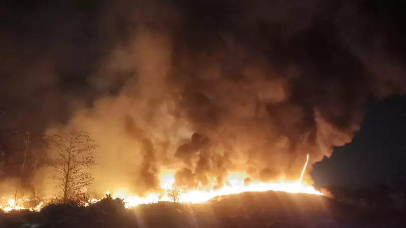 Kebakaran Lahan di Belakang Mal Alam Sutera Tangerang, Penyebab Diselidiki