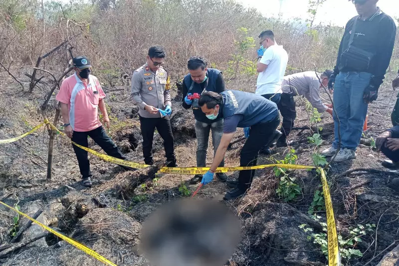 Kerangka Manusia Ditemukan di Kebun Tebu, Lamongan