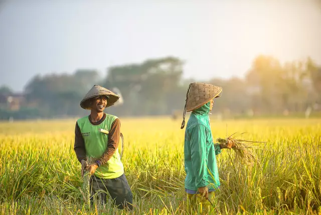 Lebaran Para Petani