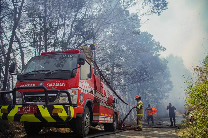 Mendagri Kaget Damkar Harus Izin Padamkan Karhutla, Menhut Jelaskan Aturannya