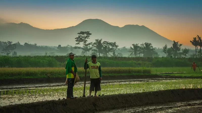 Mengatasi Bottleneck Agraria dan Mengakselerasi Swasembada Pangan