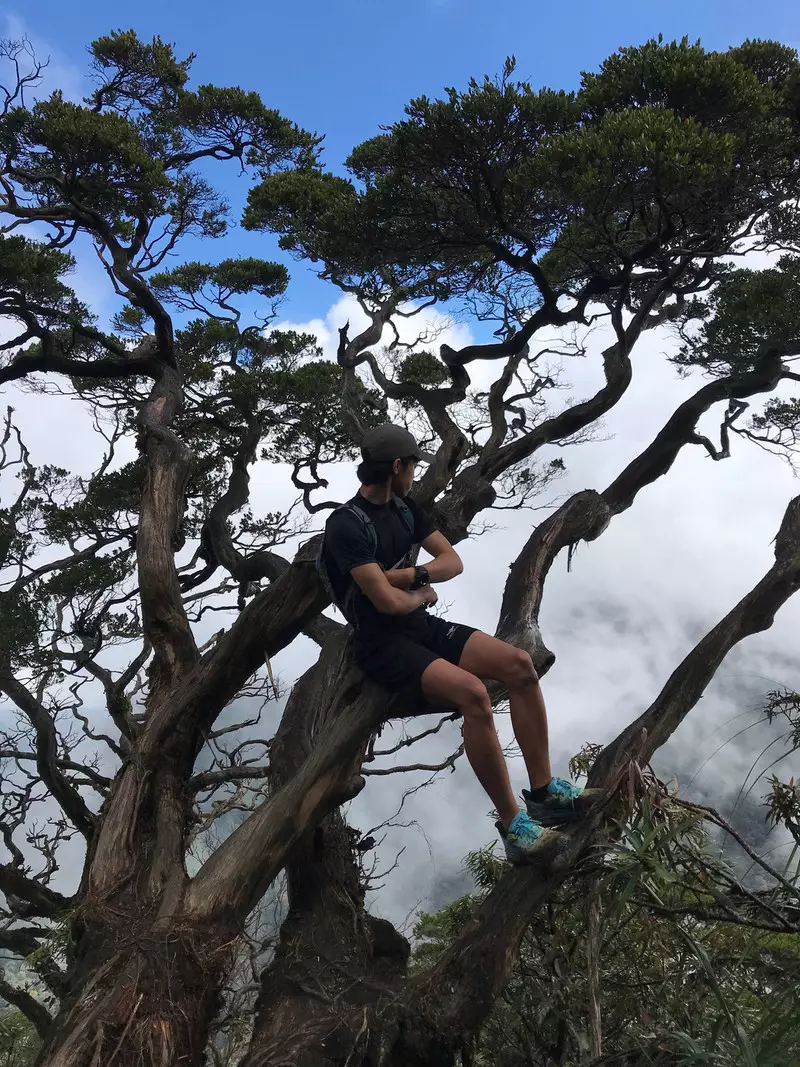 Menikmati Forest Bathing: Olahraga Sambil Healing di TNGHS