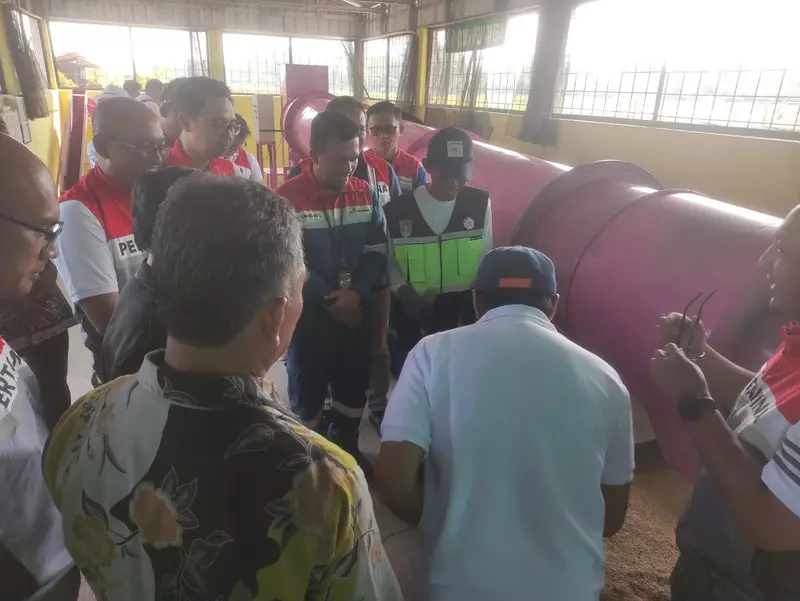 PLTS-Mesin Pengering, Local Hero Pertamina Nyalakan Harapan Petani Saat Mendung