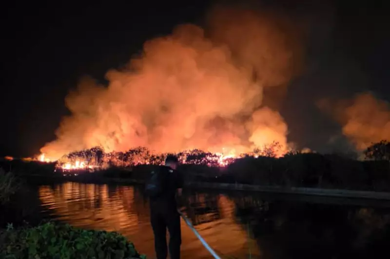 Polisi Cari Pemancing yang Diduga Bakar Lahan 10 Hektare di POJ City Semarang