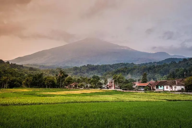 Pulang ke Desa, Menyalakan Harapan dari Kampung Sendiri