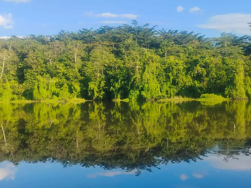 Sebelum Hujan Datang, Sudahkah Kita Menyiapkan Ruang untuk Air?