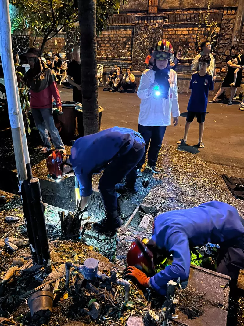Seekor Ular Besar Diduga Memangsa Kucing di Depok, Warga Resah