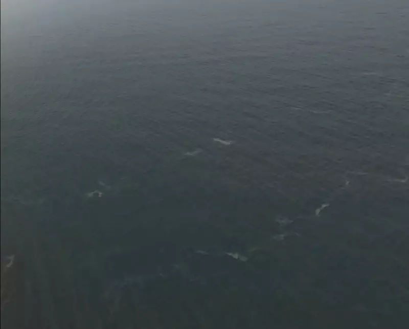 Video Drone Rekam Benda Mirip Kapal di Anak Krakatau, Basarnas: Hasilnya Nihil